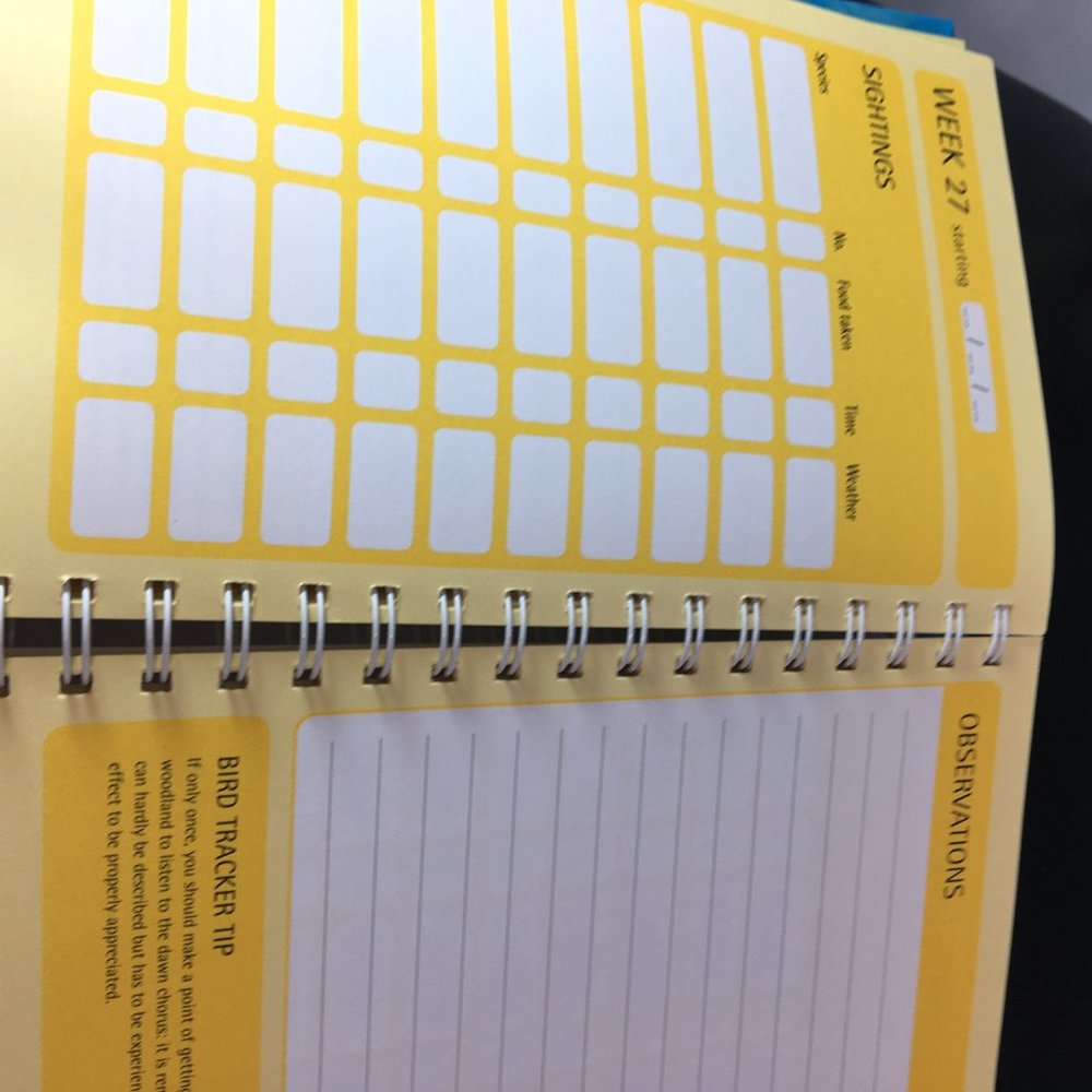 Backyard Bird Tracker : logbook notes illustrated - Picture 10 of 12